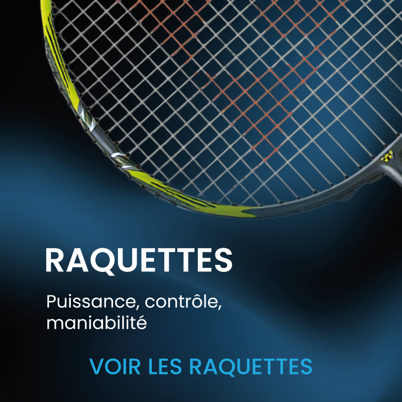 Section raquette